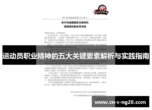 运动员职业精神的五大关键要素解析与实践指南
